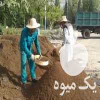 فروش خاک و کود باغچه در پاکدشت در گروه خرید فروش کود و مواد شیمیایی - اوره پتاس مرغی کمپوست آهن در یکمیوه