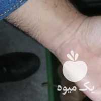 فروش کیوی دوپهن در رودسر در گروه خرید فروش عمده کیوی - صادراتی مازندران تنکابن تالش در یکمیوه