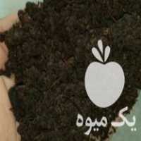 فروش خاک برگ ، کود کمپوست در بهمن در گروه خرید فروش نشا - انواع گوجه برنج کاهو پیاز کاری فرنگی در یکمیوه