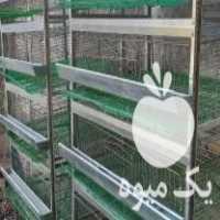 فروش قفس بلدرچین و کبک و  نو در قائم شهر در گروه خرید فروش کود و مواد شیمیایی - اوره پتاس مرغی کمپوست آهن در یکمیوه