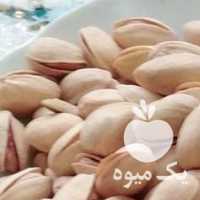 فروش پسته رفسنجان تازه امسالی کیفیت در تهران در گروه پسته - کوهی شامی خام اکبری تازه کله قوچی در یکمیوه