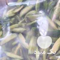 فروش خلال پسته امسال در دامغان در گروه پسته - کوهی شامی خام اکبری تازه کله قوچی در یکمیوه