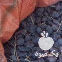 فروش کشمش آفتابی در قزوین در گروه آجیل - فروش عمده محصولات در یکمیوه