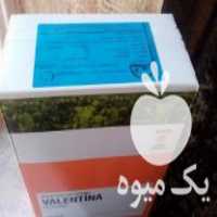 فروش بذر چغندر والنتینا در بوکان در گروه خرید فروش بذر - انواع محصول کشاورزی گوجه کتان میوه درخت در یکمیوه