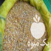 فروش خوراک دام  ،  طیورو آبزیان دردانه لنگرود در گیلان در گروه مرغ و خروس و بوقلمون و اردک قو قاز در یکمیوه