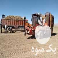 فروش کمباین برداشت چغندر ایتالیایی دوردیفه خودرو در اقلید در گروه خرید فروش ماشین آلات کشاورزی - تراکتور تیلر کمباین مدرن در یکمیوه