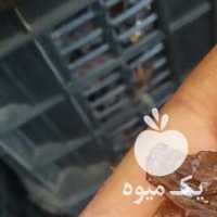 فروش کشمش و مویز آفتابی در شیراز در گروه آجیل - فروش عمده محصولات در یکمیوه