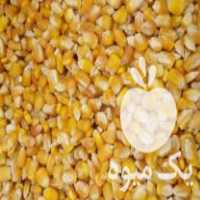 فروش ذرت دامی برزیل در همدان در گروه خرید فروش عمده ذرت - بلال مکزیکی علوفه دانه کشاورز در یکمیوه