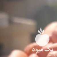 فروش محصولات شمال گیلان برنج ، بادام ، چای ،  در تهران در گروه خرید فروش عمده برنج - نیم دانه عنبر بو هاشمی کاظمی هندی پاکستانی در یکمیوه