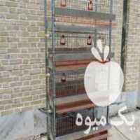 فروش قفس بلدرچین  ،  قفس مرغ قفس کبک قفس کبوتر قفس قرقاول در تهران در گروه تجهیزات دام و طیور - خرید فروش نو دسته دوم در یکمیوه