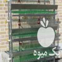 فروش قفس بلدرچین  ،  قفس مرغ قفس کبک قفس کبوتر قفس قرقاول در یزد در گروه تجهیزات دام و طیور - خرید فروش نو دسته دوم در یکمیوه