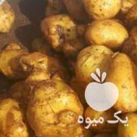 فروش سیب زمینی آگریا مدل 97 واسعه کاشت در اردبیل در گروه خرید فروش عمده سیب زمینی - زودرس دیررس آگریا اسپریت اردبیل همدان در یکمیوه