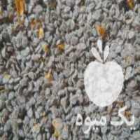 فروش بذر دستی گوجه فرنگی 8320 و بروبیا در تاکستان در گروه خرید فروش بذر - انواع محصول کشاورزی گوجه کتان میوه درخت در یکمیوه