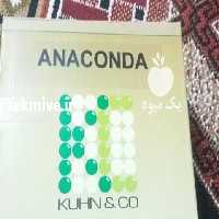 فروش بذرچغندر   در کرمانشاه در گروه خرید فروش عمده چغندر - قند لبویی قرمز سفید در یکمیوه