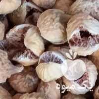 فروش انجیر پرک پسته بادام در تهران در گروه بادام - درختی کوهی زمینی فروش عمده در یکمیوه