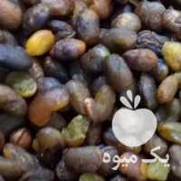 فروش مغز بنه پسته وحشی عمده و خرده در تهران در گروه پسته - کوهی شامی خام اکبری تازه کله قوچی در یکمیوه