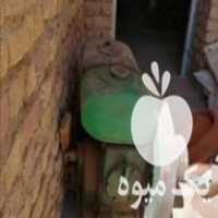 فروش موتور آب گازوییلی در تهران در گروه خرید فروش ابزار ها و تجهیزات کشاورزی - دستی برقی ماشینی بیل کلنگ در یکمیوه