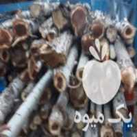 خریدار چوب باغی وخانگی در گرگان در گروه خرید فروش عمده چوب- زغال چوب گردو تبریزی خام در یکمیوه