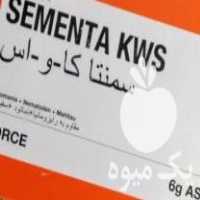 فروش بذر چغندر سمنتا پره ای المان در بوکان در گروه خرید فروش بذر - انواع محصول کشاورزی گوجه کتان میوه درخت در یکمیوه