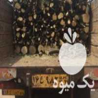 فروش چوب پرتقال و نارنج در مشهد در گروه خرید فروش عمده چوب- زغال چوب گردو تبریزی خام در یکمیوه