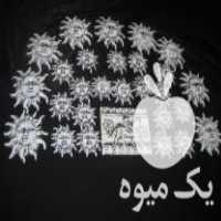 فروش شیر و خورشید مستقیم از تولیدی در تهران در گروه خرید فروش عمده چای - سبز ترش کوهی سیاه در یکمیوه