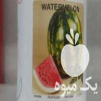 فروش بذر هندوانه پروسید هلند و گاردسکو امریکا در گراش در گروه خرید فروش بذر - انواع محصول کشاورزی گوجه کتان میوه درخت در یکمیوه