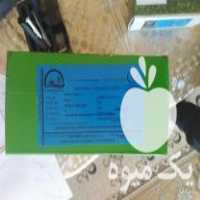 فروش بذر چغندر پولاد در بوکان در گروه خرید فروش بذر - انواع محصول کشاورزی گوجه کتان میوه درخت در یکمیوه