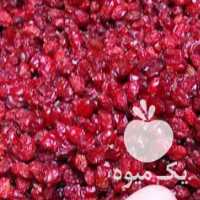 فروش زرشک پفکی و عناب در مشهد در گروه خرید فروش عمده ازگیل و تمشک و زرشک - ژاپنی فروش مستقیم در یکمیوه