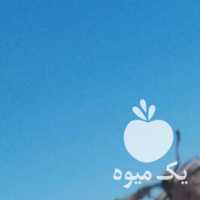 فروش شلغم و چغندر گوسفندی در اصفهان در گروه خرید فروش عمده گیاهان زینتی - گرمسیری آپارتمانی باغچه آب در یکمیوه