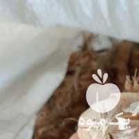 فروش پیاز زعفران در مشهد در گروه خرید فروش عمده زعفران - قائنات قیمت خراسان بهرامن گرم در یکمیوه