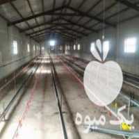 فروش مرغداری گوشتی 20 قطعه ای در اسلامشهر در گروه تجهیزات دام و طیور - خرید فروش نو دسته دوم در یکمیوه