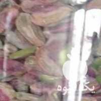 فروش مغز پسته وکیوم در تهران در گروه خرید فروش نشا - انواع گوجه برنج کاهو پیاز کاری فرنگی در یکمیوه