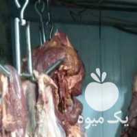 آگهی مشابه فروش پخش گوشت گوسفند و گوساله منجمد و گرم رستورانی در تهران در گروه گاو و گوسفند و میش و بز کهره گوساله سمینتال در یکمیوه