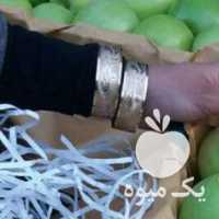 فروش سیب سبز در ارومیه در گروه خرید فروش عمده سیب - زرد و قرمز گلاب پاییزه در یکمیوه