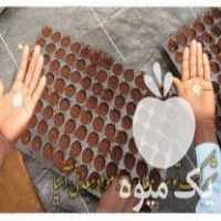 فروش خاک کوکوپیت سریلانکایی و هندی قالبی ویژه کشت گلخانه در تهران در گروه خرید فروش ماشین آلات کشاورزی - تراکتور تیلر کمباین مدرن در یکمیوه