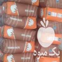 فروش بذر پنبه مای ترکیه در اردبیل در گروه خرید فروش بذر - انواع محصول کشاورزی گوجه کتان میوه درخت در یکمیوه