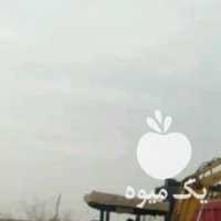 فروش کود گاوی و گوسفندی ومرغی در شیراز در گروه خرید فروش کود و مواد شیمیایی - اوره پتاس مرغی کمپوست آهن در یکمیوه