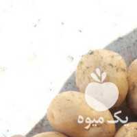 فروش سیب زمینی بذری و خوراکی در کرمانشاه در گروه خرید فروش عمده سیب زمینی - زودرس دیررس آگریا اسپریت اردبیل همدان در یکمیوه