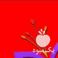 فروش زعفران  ،  هل و زرشک زروین در مشهد در گروه خرید فروش عمده زعفران - قائنات قیمت خراسان بهرامن گرم در یکمیوه