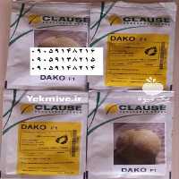 فروش بذر ملون داکو کلوز در تهران در گروه خرید فروش بذر - انواع محصول کشاورزی گوجه کتان میوه درخت در یکمیوه