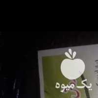 فروش چای بهاره املش در رشت در گروه خرید فروش عمده چای - سبز ترش کوهی سیاه در یکمیوه