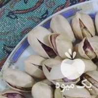 فروش پسته ومغز آجیل عید در سیرجان در گروه آجیل - فروش عمده محصولات در یکمیوه