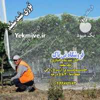 فروش توری ضد سرما ،  توری سایبان گلخانه  ،  توری شید سفید در تهران در گروه خرید فروش عمده انواع گل - پروش قاشقی موسی ساکولنت بن سای در یکمیوه