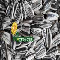 فروش عمده  تخمه ، تخمه امیر در اصفهان در گروه خرید فروش تجهیزات گلخانه - صنعتی خانگی هوشمند دست دوم در یکمیوه