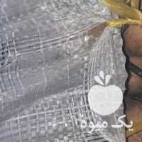 فروش سیب زمینی 97 بامبا در همدان در گروه خرید فروش عمده سیب زمینی - زودرس دیررس آگریا اسپریت اردبیل همدان در یکمیوه