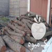 فروش چوب کهور خوزستان در کرمانشاه در گروه خرید فروش عمده چوب- زغال چوب گردو تبریزی خام در یکمیوه