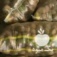 خریدار سیب زمینی هستم برای صادرات در همدان در گروه خرید فروش عمده سیب زمینی - زودرس دیررس آگریا اسپریت اردبیل همدان در یکمیوه