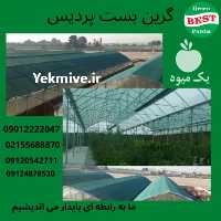 فروش توری شید در تهران در گروه خرید و فروش عمده انواع محصولات کشاورزی و دامداری در یکمیوه