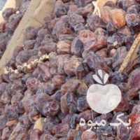 فروش خرما کبکاب کارتن موزی دشتستان در بوشهر در گروه خرید فروش عمده خرما - کبکاب تازه زاهدی خشک خارک در یکمیوه