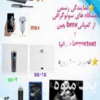 فروش دستگاه سونوگرافی دامی در کرج در گروه اسب و الاغ خر و فروش قاطر- ترکمن عربی سفید نر و ماده در یکمیوه